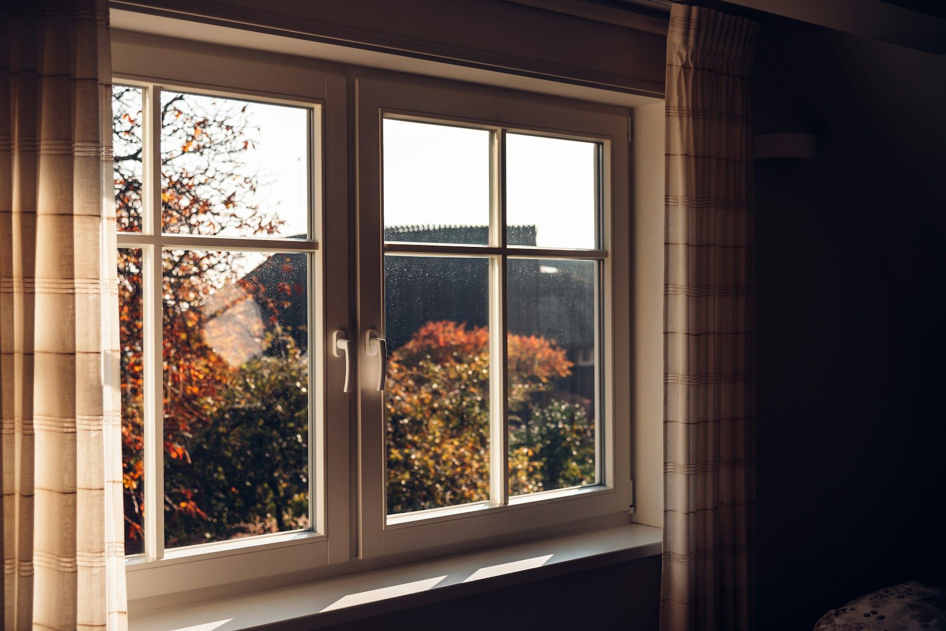 mold in double pane windows